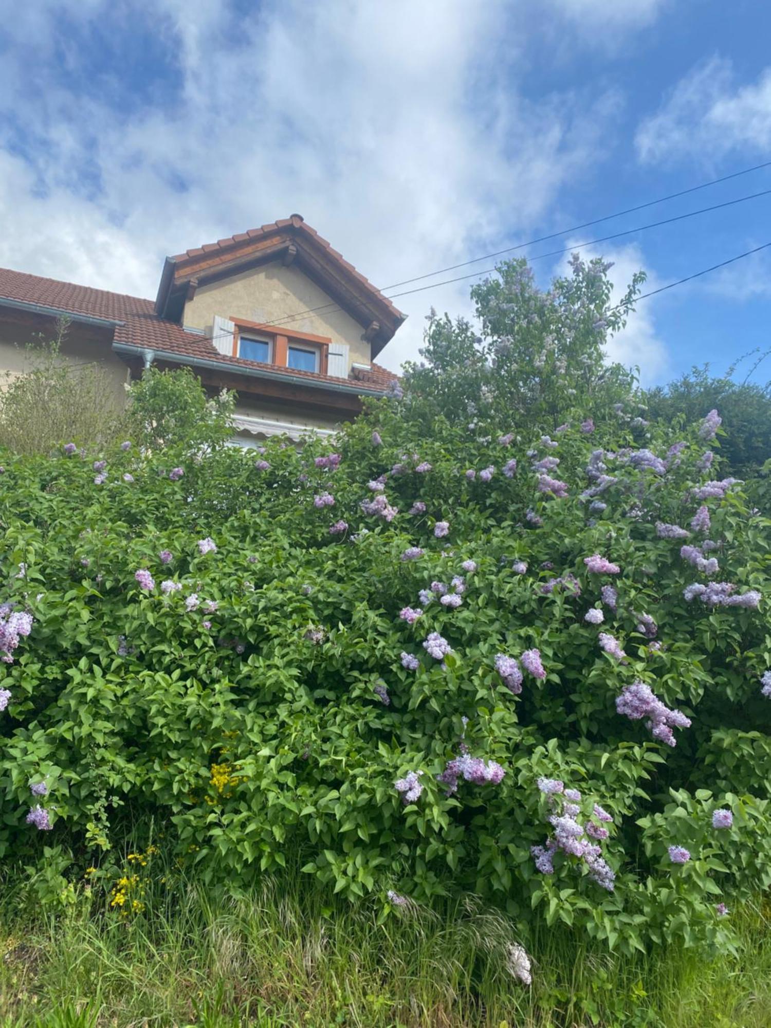 Le Refuge De L'Ours Villa Baerenthal Exterior photo